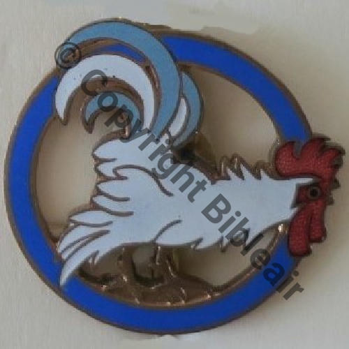 513  GAO.513 1939  Pieds dores Bleu  A AUGIS LYON 2Li Bol fenetre Dos lisse Src.Y.GENTY Collect JM 